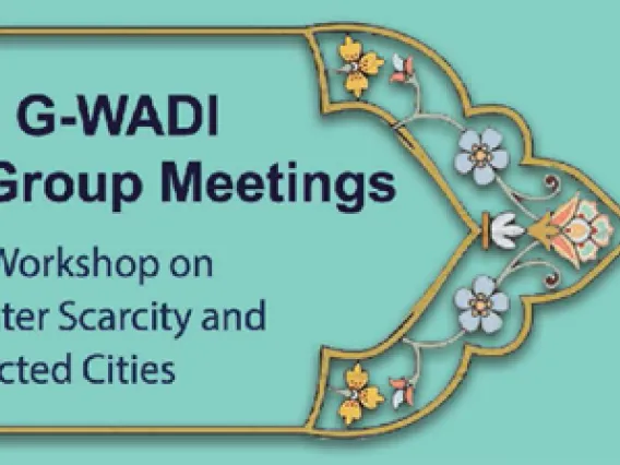 Asian GWADI Meeting