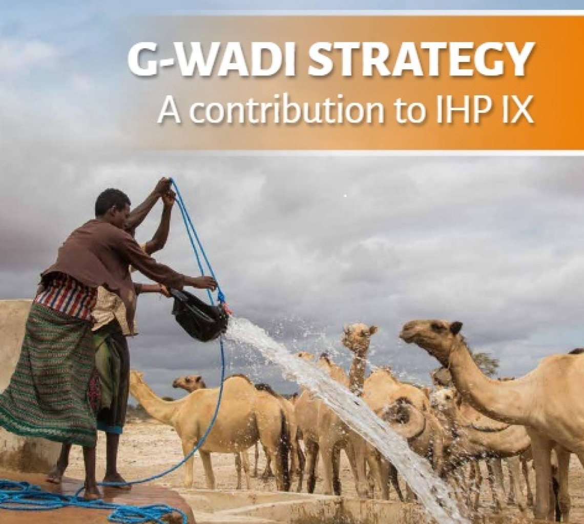 G-WADI Strategy