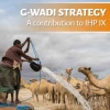 G-WADI Strategy